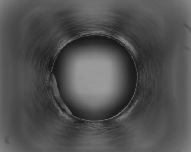 X0000092311001200710051235