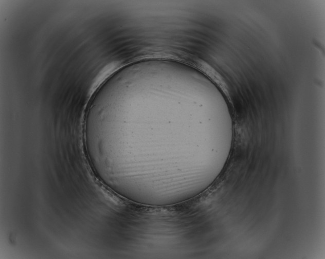 X0000092311002200710051235