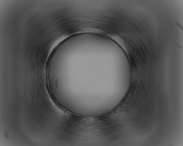 X0000092311003200710051235