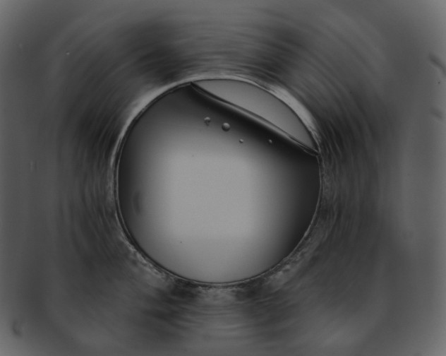 X0000092311004200710051235