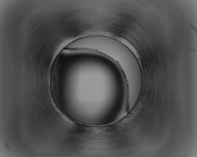X0000092311005200710051235