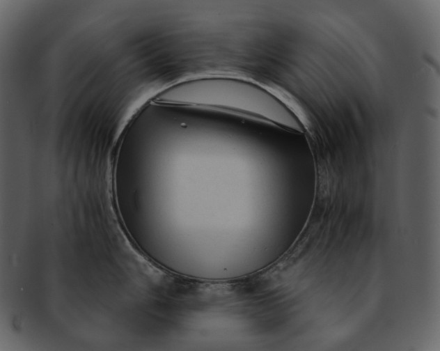 X0000092311006200710051235