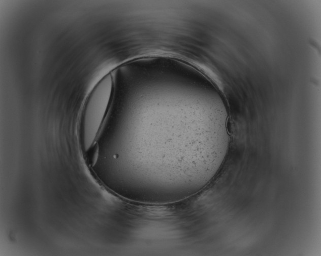 X0000092311007200710051235
