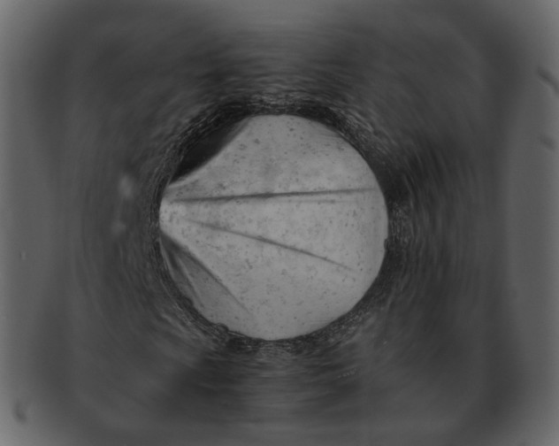X0000092311009200710051234