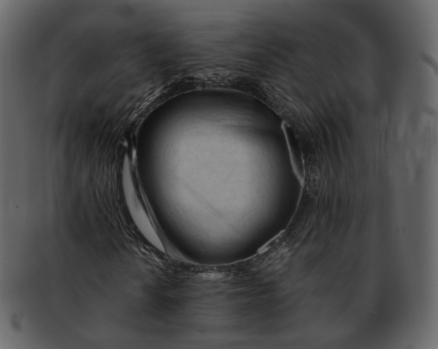 X0000092311010200710051234