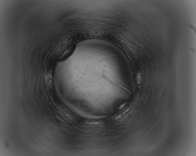 X0000092311011200710051234