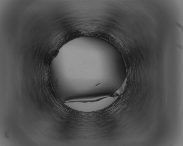 X0000092311012200710051234