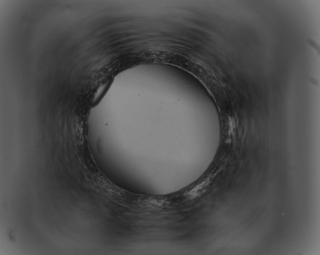 X0000092311013200710051234