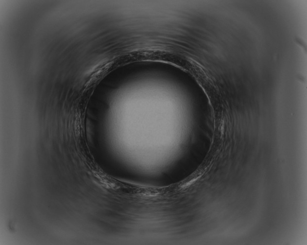 X0000092311014200710051234