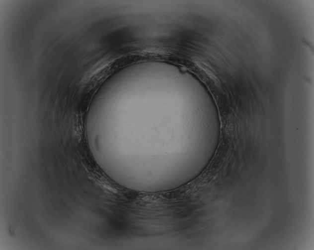 X0000092311015200710051234