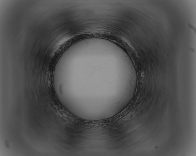 X0000092311016200710051234
