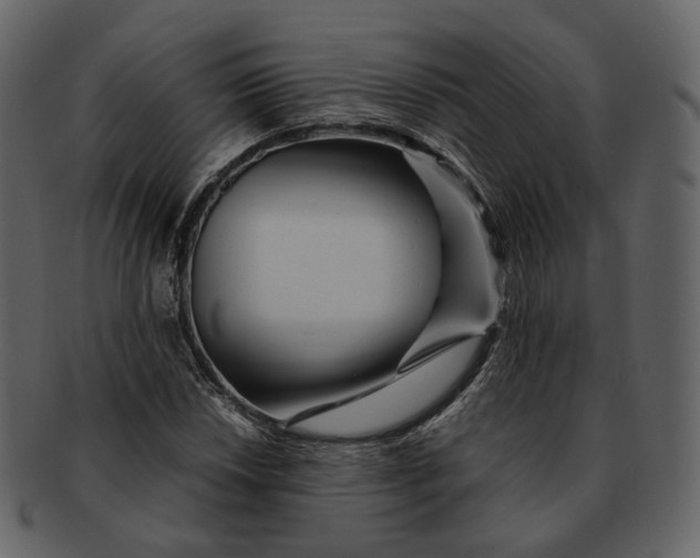 X0000092311018200710051234