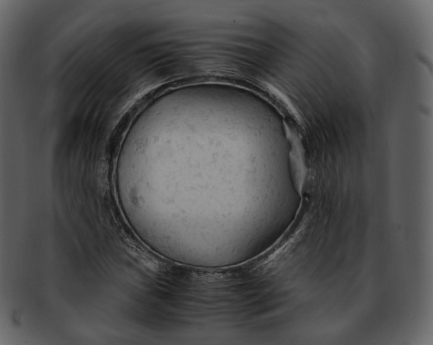X0000092311019200710051234