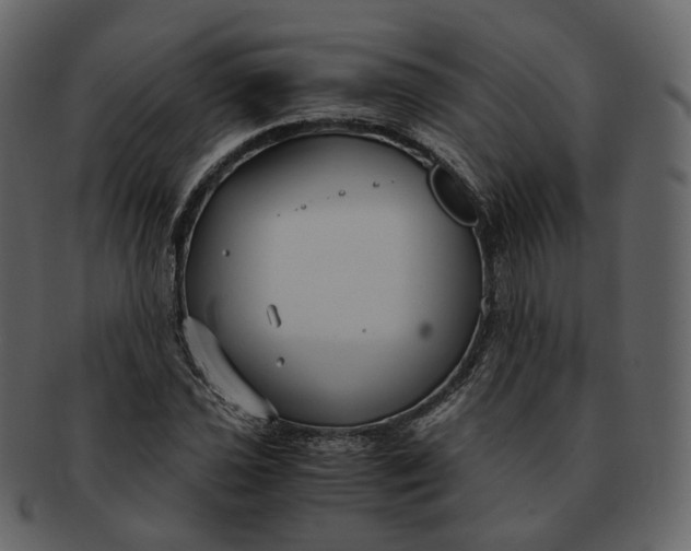 X0000092311021200710051234