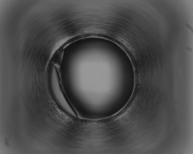X0000092311022200710051234