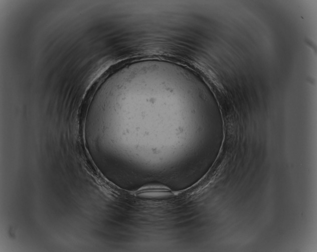 X0000092311023200710051234
