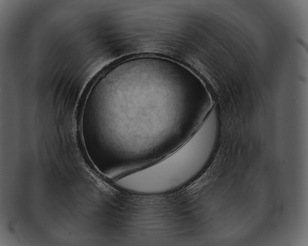X0000092311024200710051234