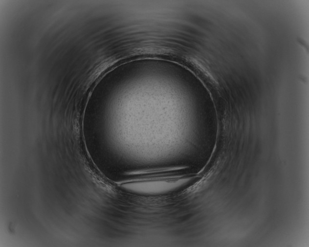 X0000092311025200710051234