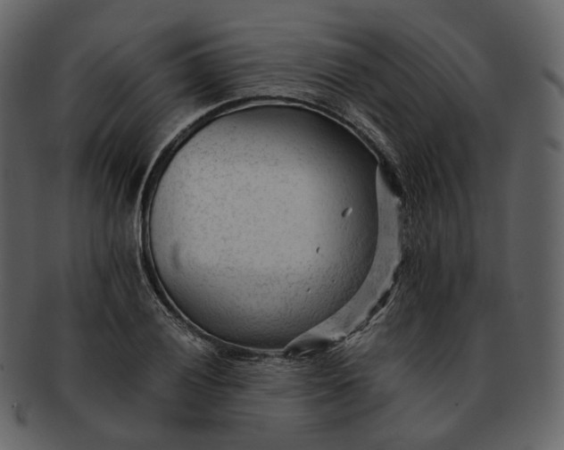 X0000092311028200710051234