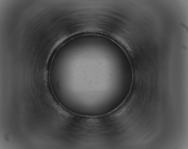 X0000092311029200710051235