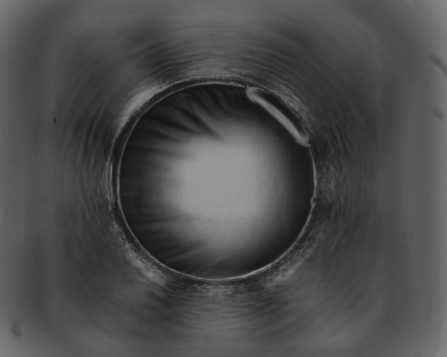 X0000092311030200710051235