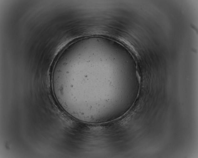 X0000092311031200710051235