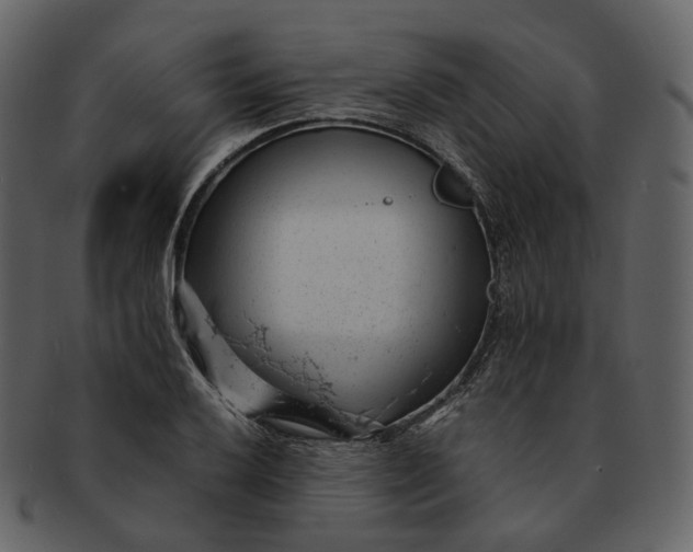 X0000092311032200710051235