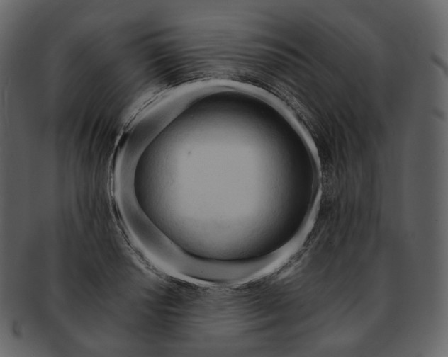 X0000092311034200710051235