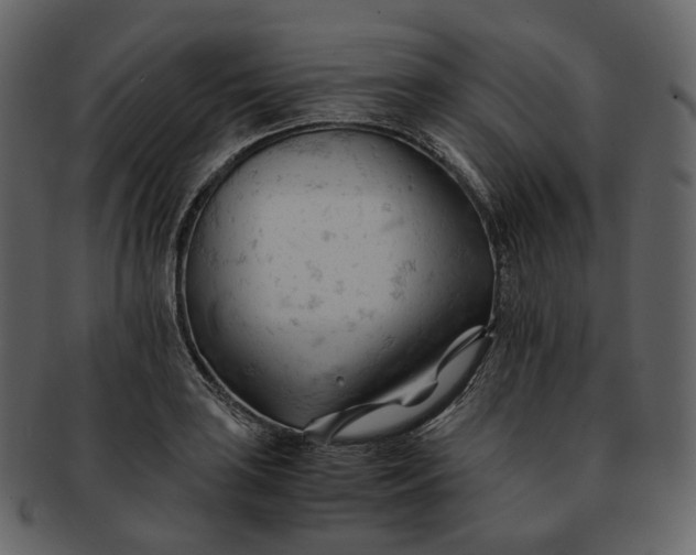 X0000092311035200710051235