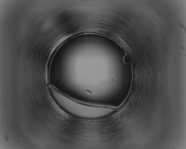 X0000092311036200710051235
