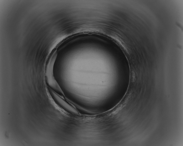 X0000092311038200710051235