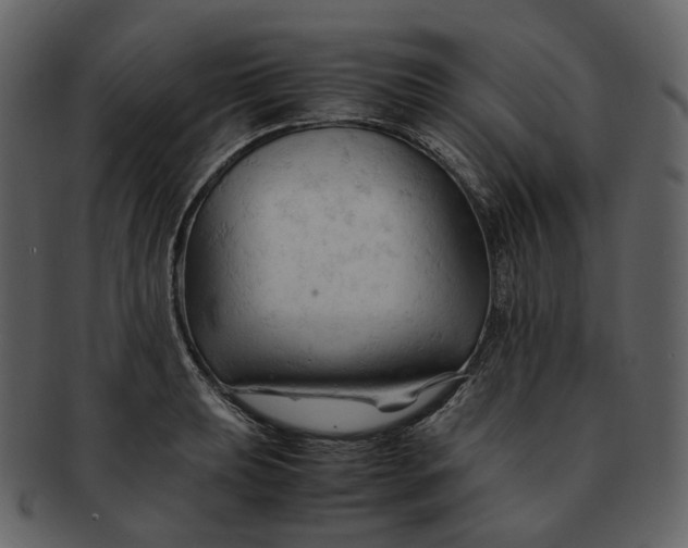 X0000092311039200710051235