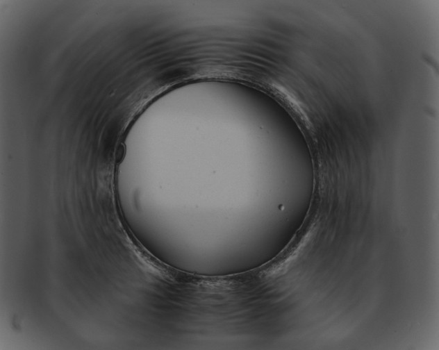 X0000092311041200710051235