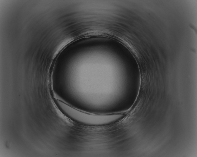 X0000092311042200710051235