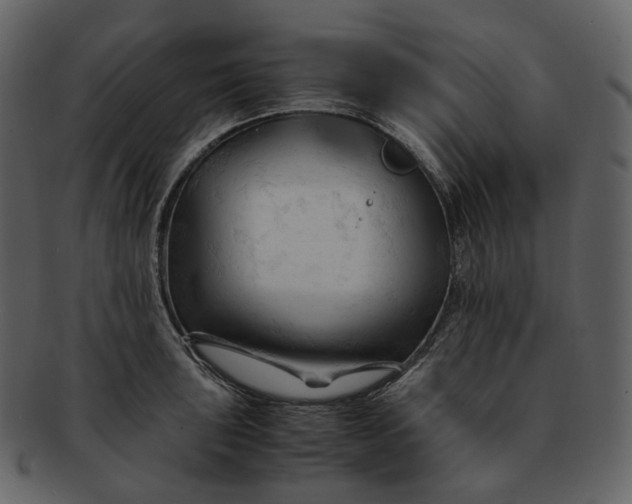 X0000092311043200710051235