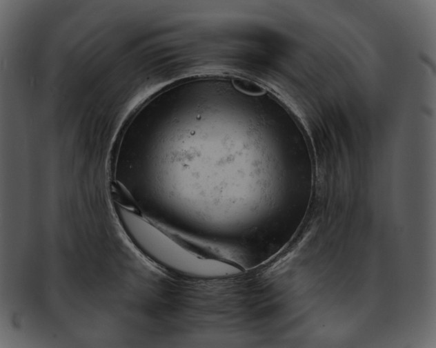 X0000092311045200710051235