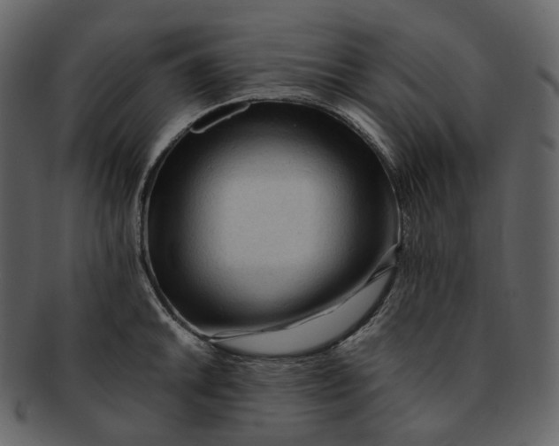 X0000092311046200710051235