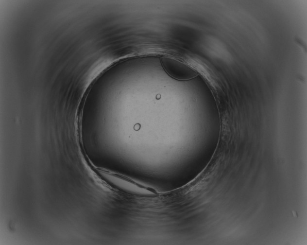 X0000092311047200710051235