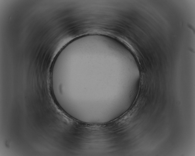 X0000092311048200710051235