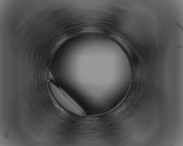 X0000092311049200710051235