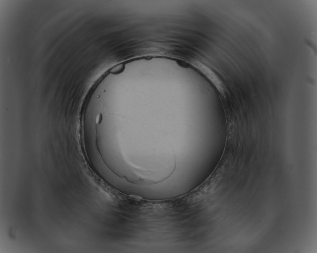 X0000092311051200710051235