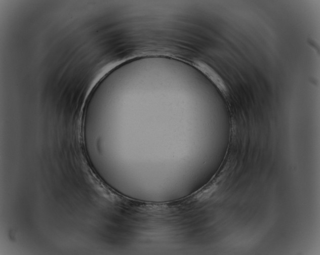 X0000092311052200710051235