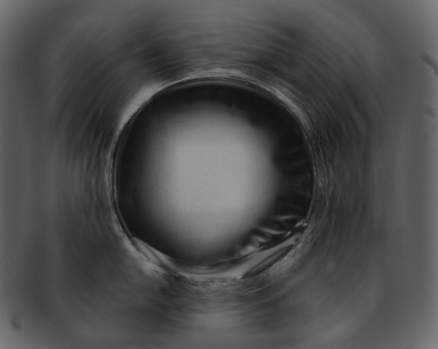 X0000092311054200710051235