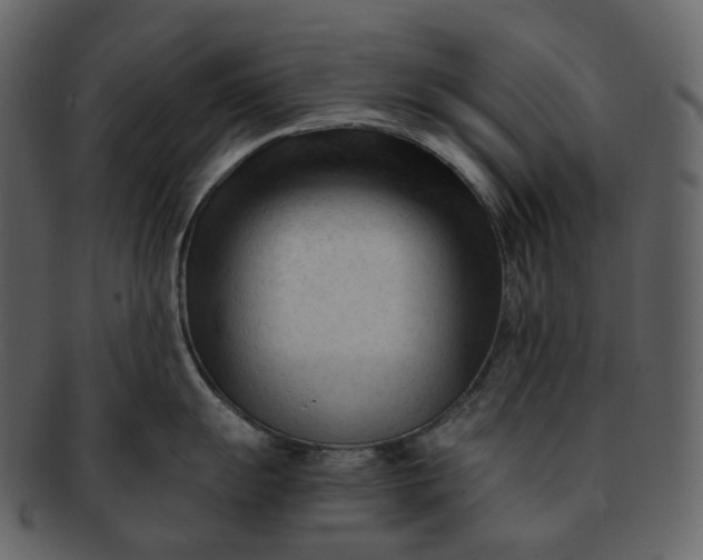 X0000092311055200710051235