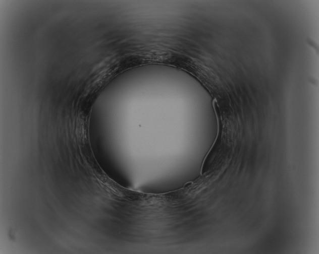 X0000092311058200710051234