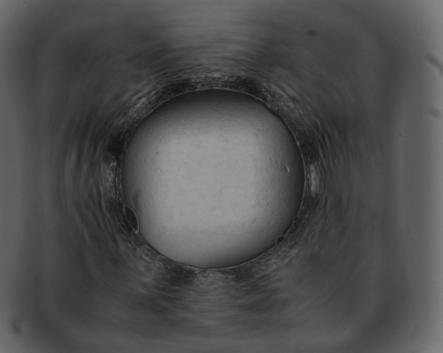 X0000092311059200710051234