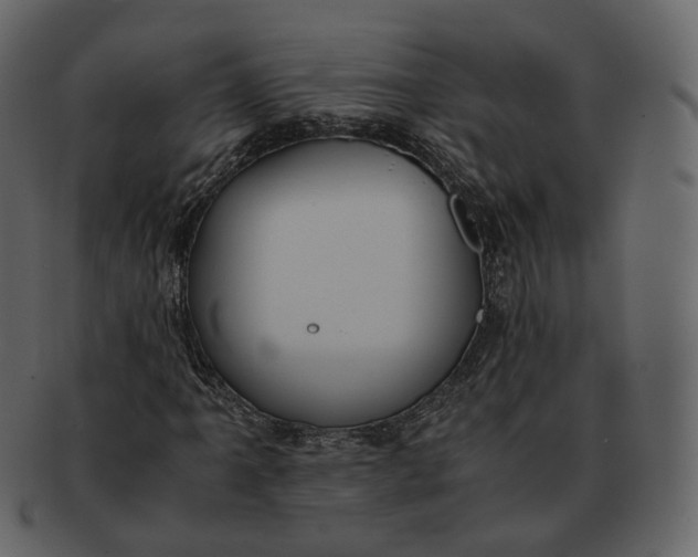 X0000092311061200710051234