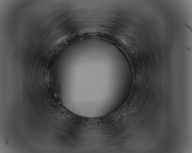 X0000092311062200710051234