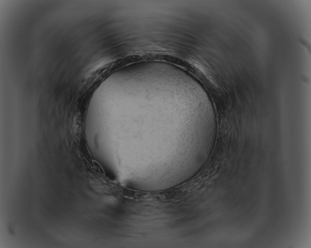 X0000092311063200710051234