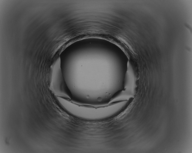 X0000092311065200710051234